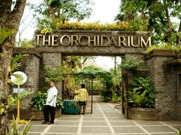 the orchidarium in baguio city philippines